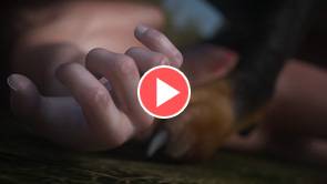 amelie and daddy the dog�| full hd 1080p exclusive | amelie by silico3d, exclusive young 3d teen girl, 3d loli, 3dcg teen, SFM teen girl